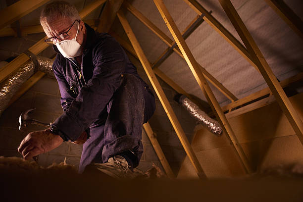 Best Insulation for Specific Applications in Unt Vernon, MO