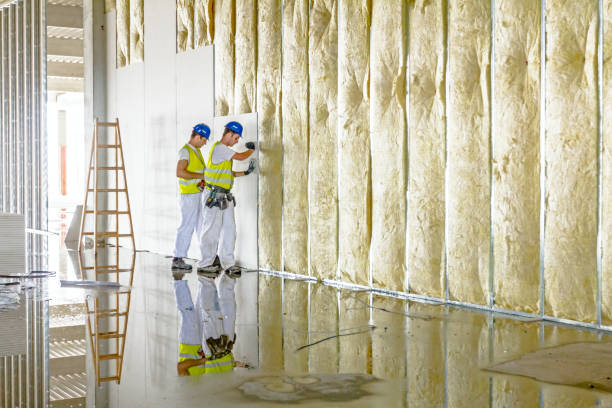 Best Insulation for Specific Applications in Unt Vernon, MO